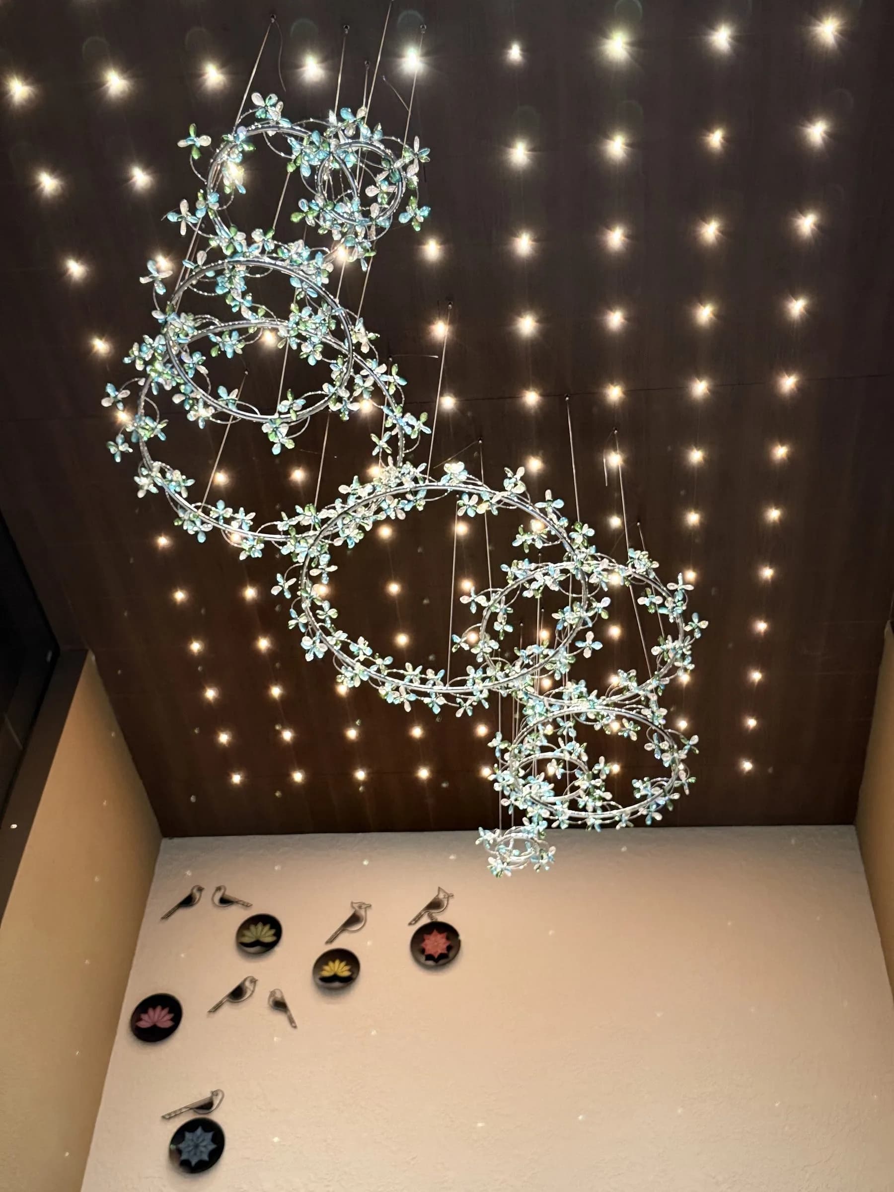 Starlight ceiling above the reception